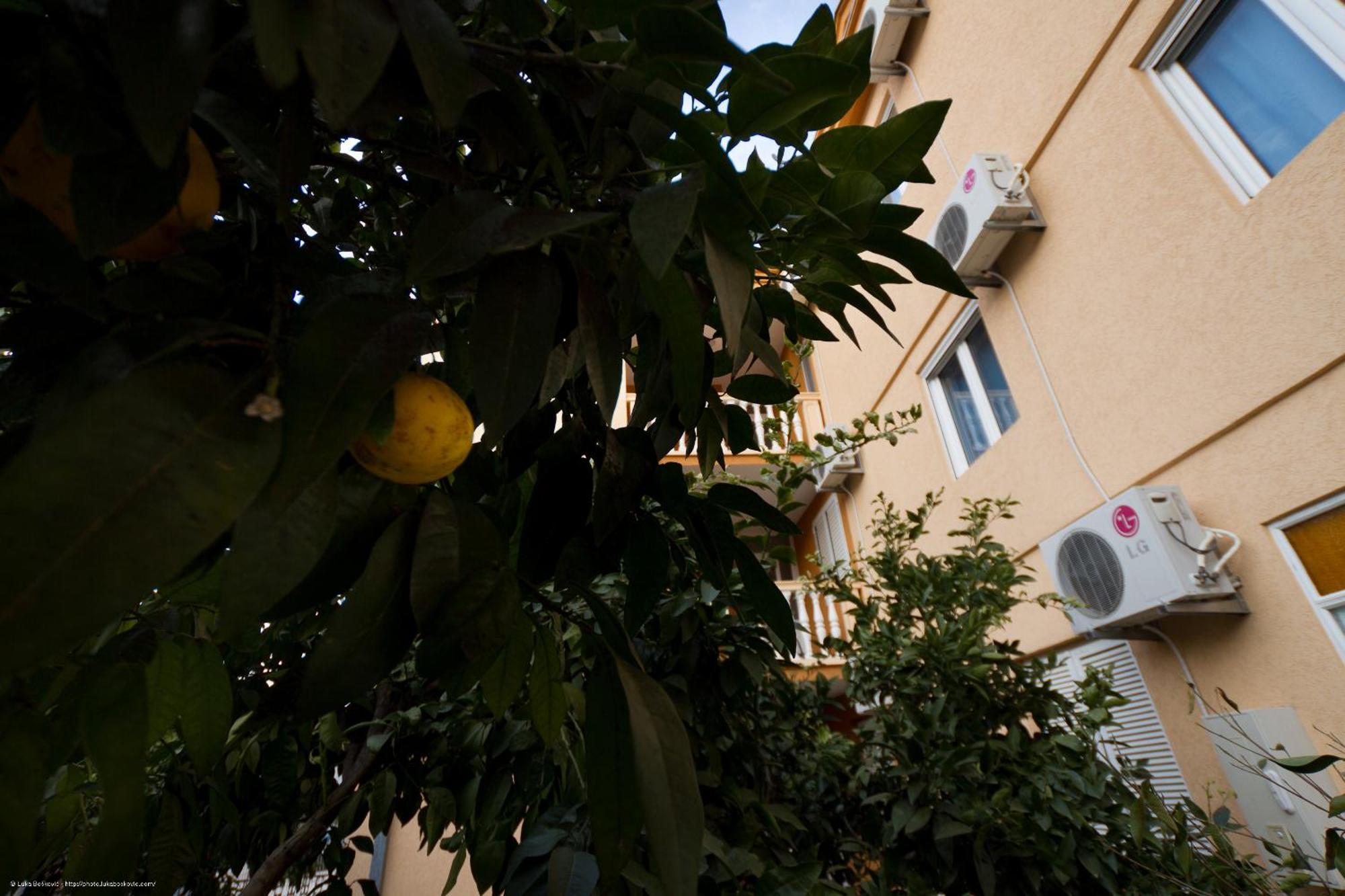 Apartman Dalila
